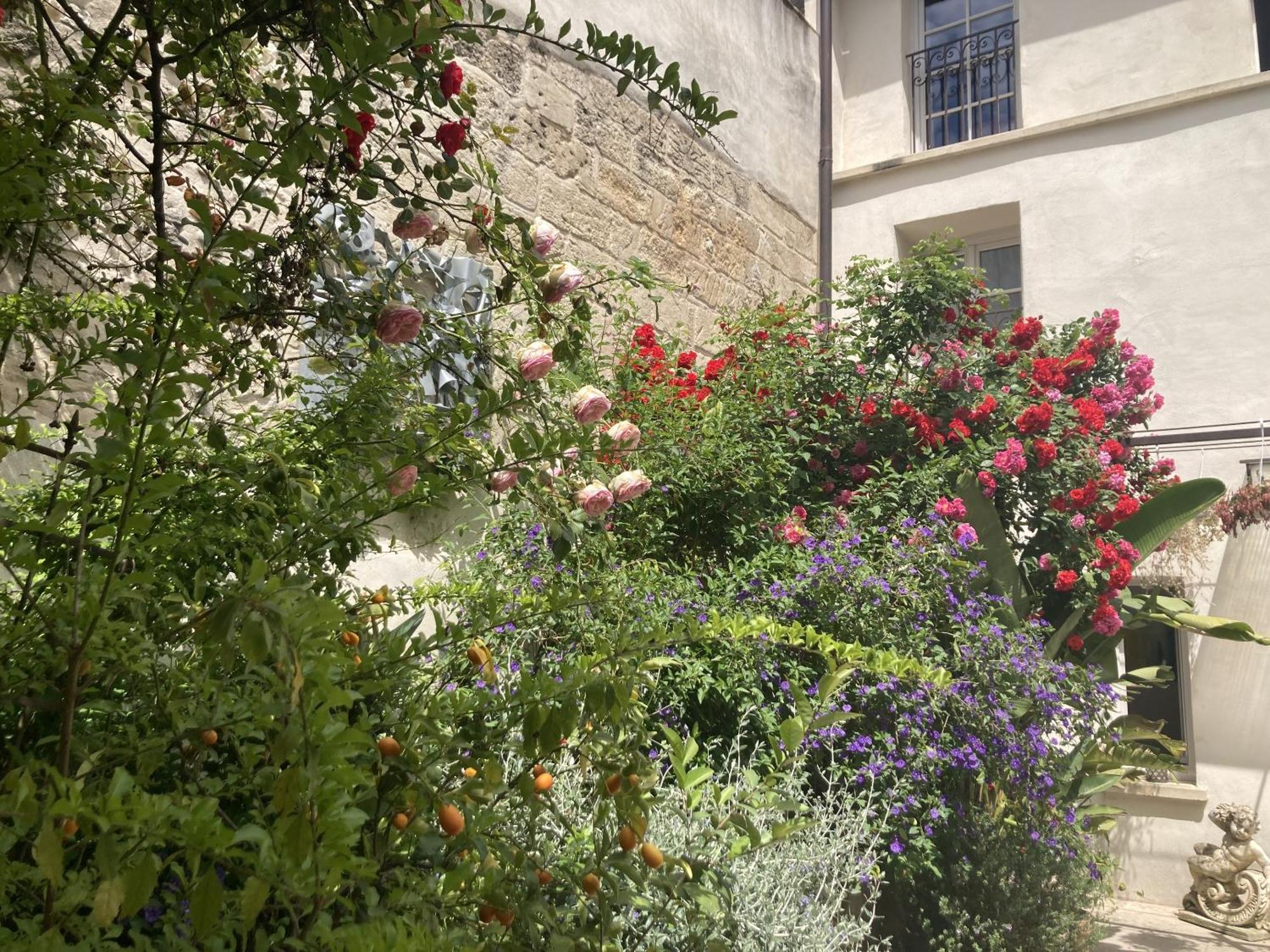 La Maison Des Augustins 4 Stars Spa Et Fitness Avignon Kamer foto