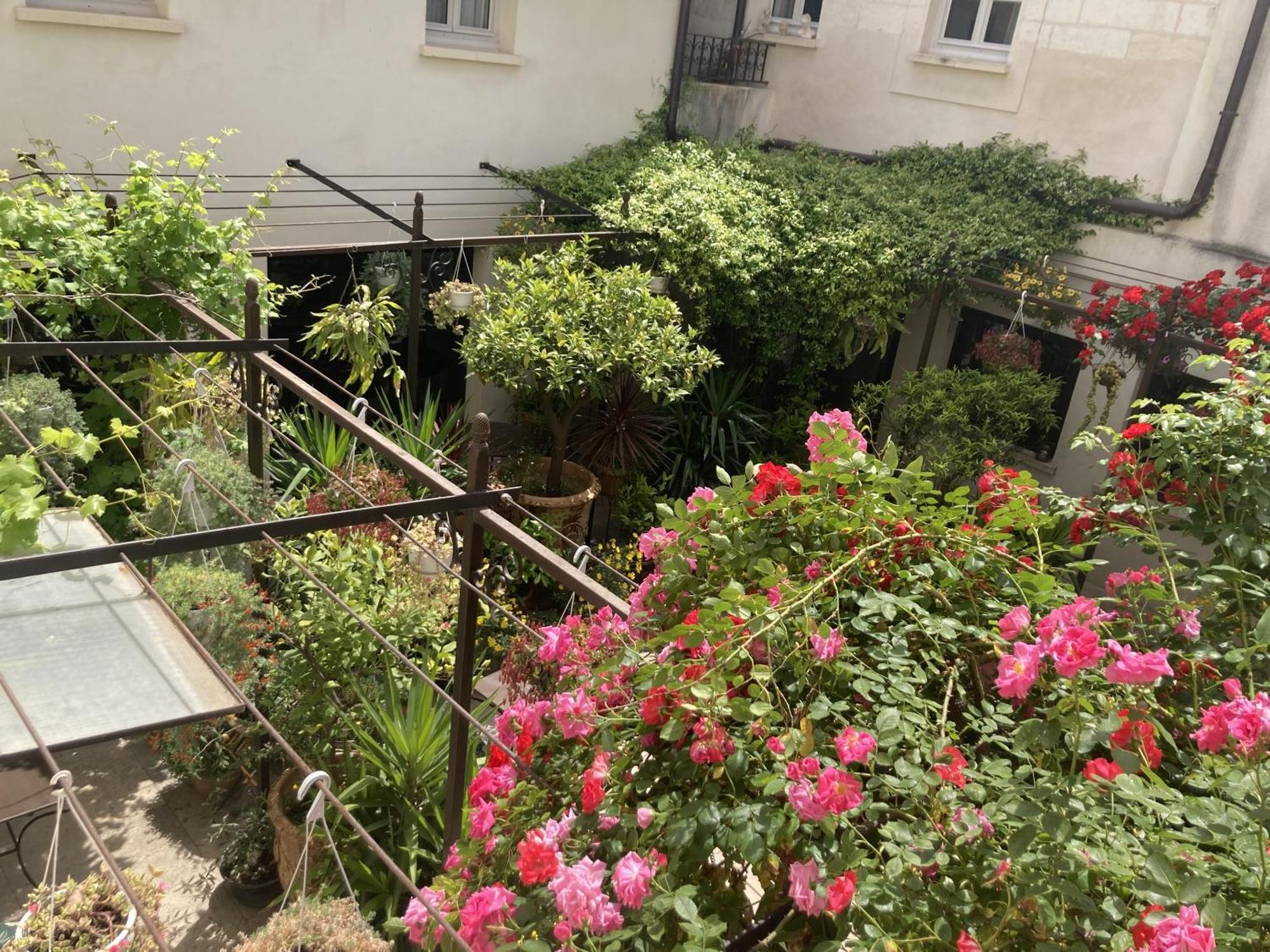 La Maison Des Augustins 4 Stars Spa Et Fitness Avignon Buitenkant foto