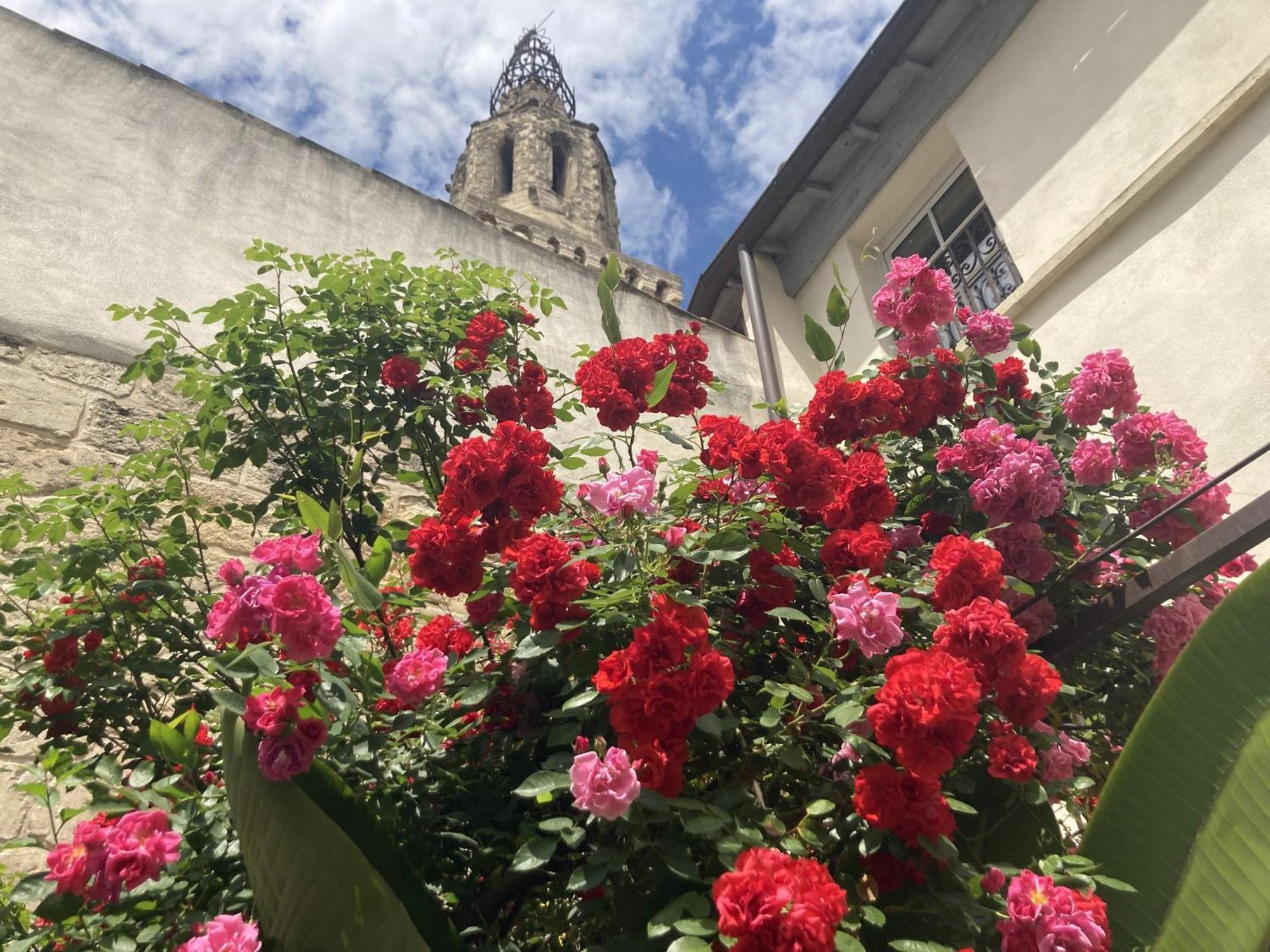 La Maison Des Augustins 4 Stars Spa Et Fitness Avignon Buitenkant foto